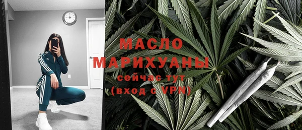 мет Алексин
