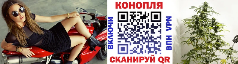 дарнет шоп  Плавск  Марихуана THC 21% 